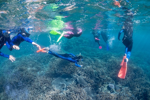 snorkellers with fins exploring reef