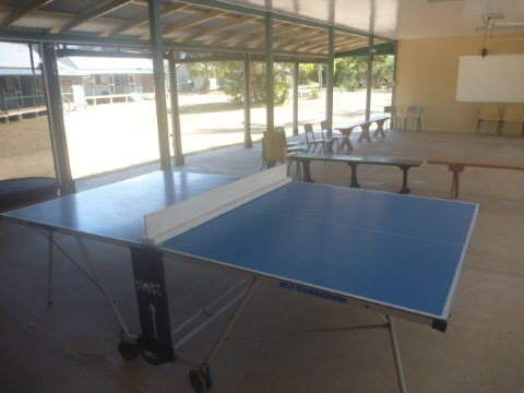 table tennis table